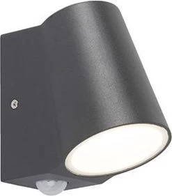 QAZQA Uma - Moderne LED Buitenlamp Met Bewegingsmelder | Bewegingssensor | Sensor Voor Buiten - 1 Lichts - D 120 Mm - Donkergrijs - Buitenverlichting