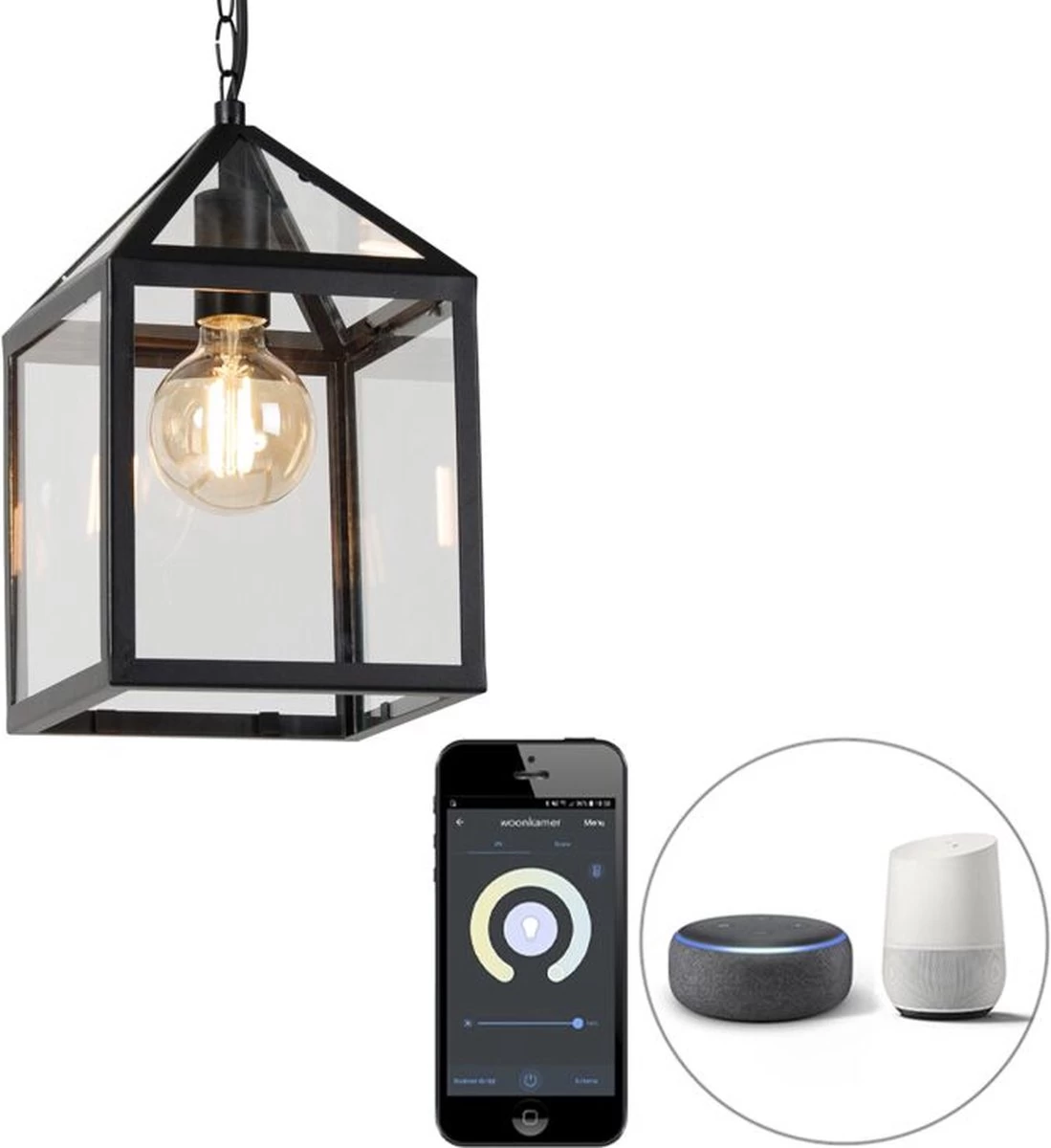 Lumière Hanglamp Buiten Deni Zwart - Landelijke Hanglamp - IP23 - Hanglamp - Hanglampen - Tuinverlichting - Buitenlamp - Inclusief Lichtbron - Calex Smart - 1 Lichts - L 210 Mm -