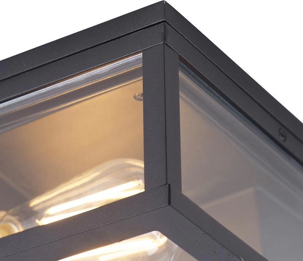QAZQA Charlois - Design Plafondlamp Voor Buiten - 2 Lichts - L 24 Cm - Zwart - Buitenverlichting - Afbeelding 2
