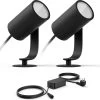 Philips Hue Lily Tuinspot Starterspakket - Prikspot White And Color Ambiance - Prikspots Voor Buiten - Tuinverlichting - 2 Spots - Zwart