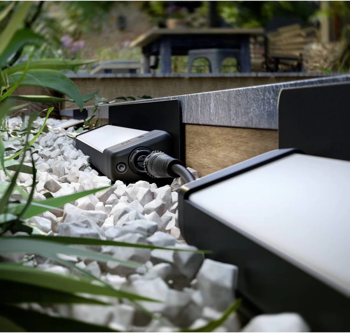 Philips Hue Amarant Verstraler - Wit En Gekleurd Licht - Zwart - Laagspanning - Afbeelding 13