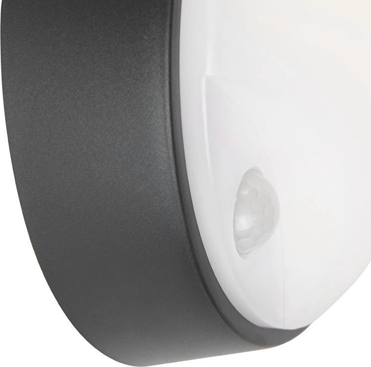 QAZQA Hortus - Moderne LED Buitenlamp Met Bewegingsmelder | Bewegingssensor | Sensor Voor Buiten - 1 Lichts - D 80 Mm - Zwart - Buitenverlichting - Afbeelding 8