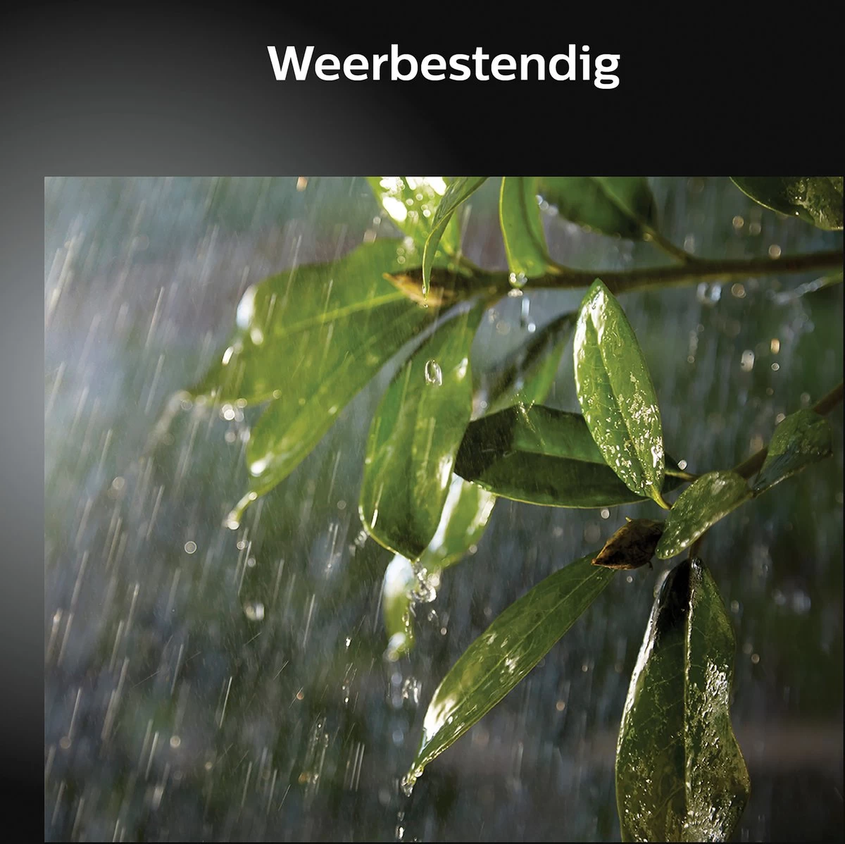 Philips Hue Outdoor Welcome Floodlight Schijnwerper - White - Zwart - 15W - IP44 - Afbeelding 13