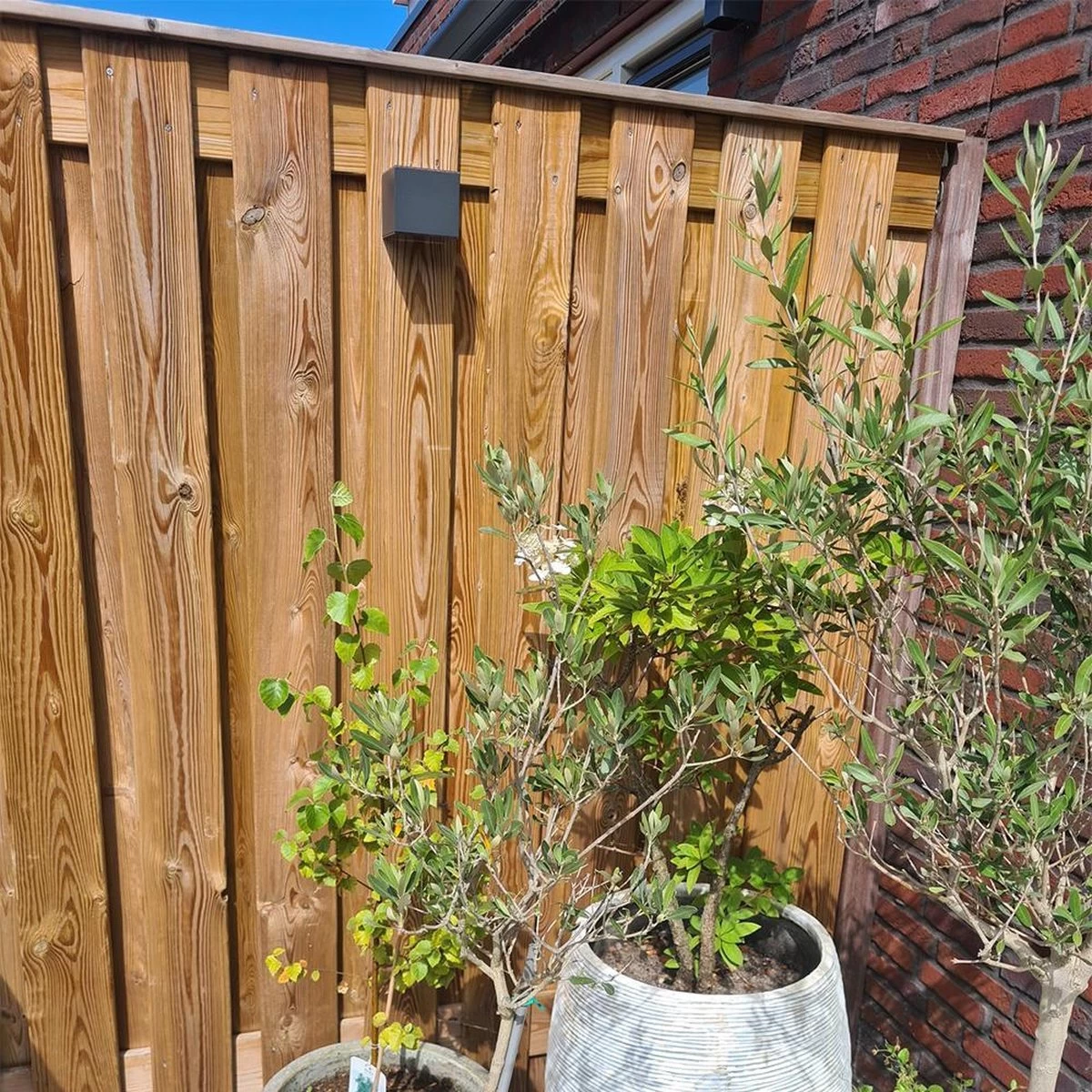 Solar Wandlamp Buiten 'Sven' Recht - Downlight - Warm Wit Licht - Wandlamp Op Zonne-energie - Afbeelding 4