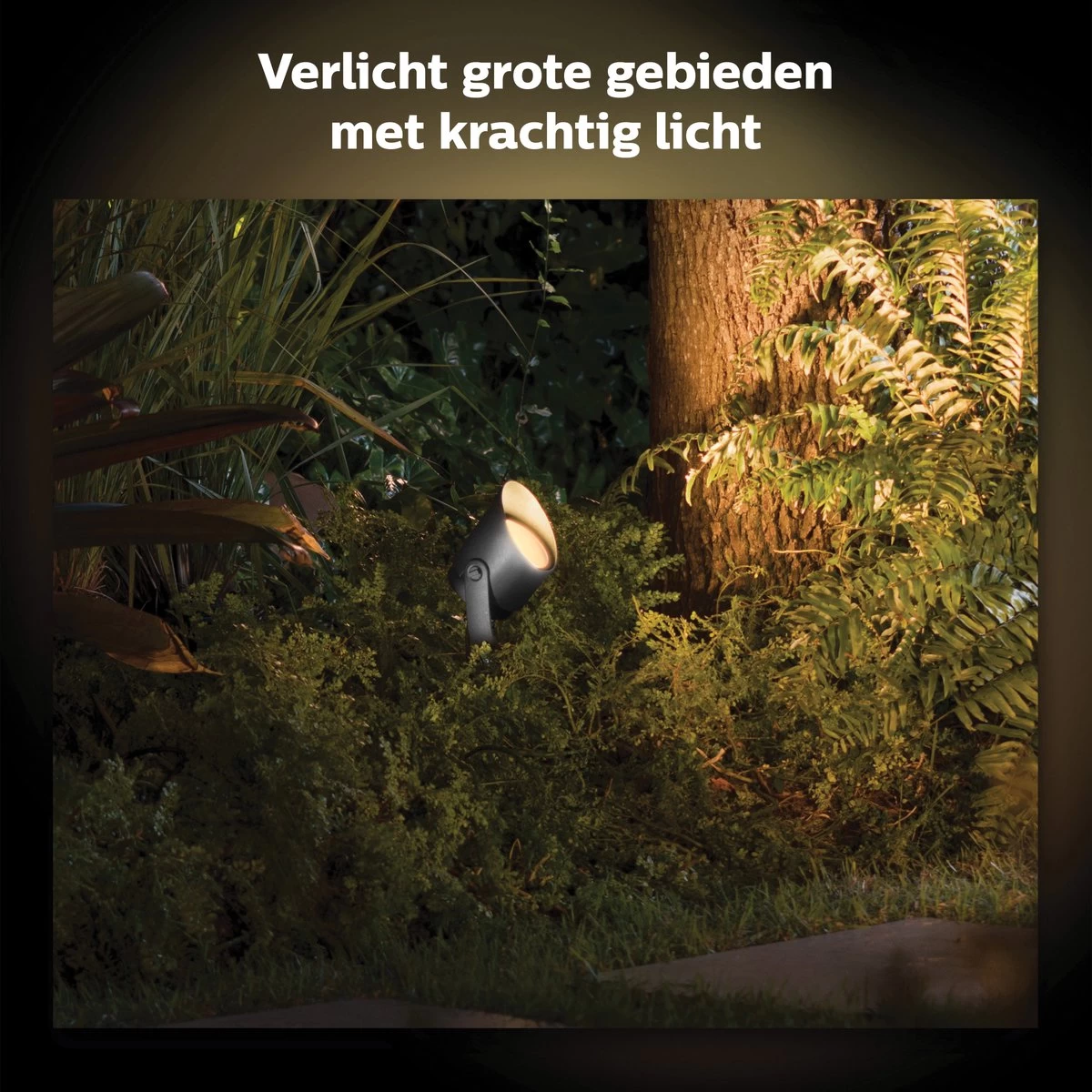 Philips Hue Lily XL-tuinspot - Wit En Gekleurd Licht - Zwart - Laagspanning - Afbeelding 4