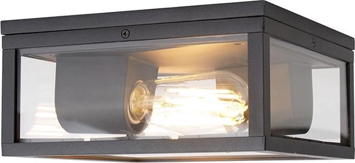 QAZQA Charlois - Design Plafondlamp Voor Buiten - 2 Lichts - L 24 Cm - Zwart - Buitenverlichting - Afbeelding 7